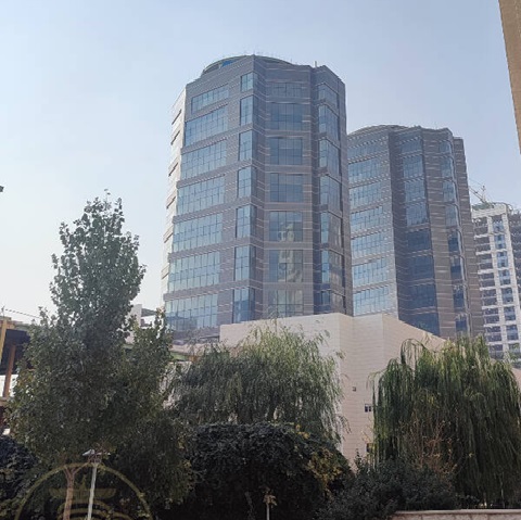 8 آرتمیس